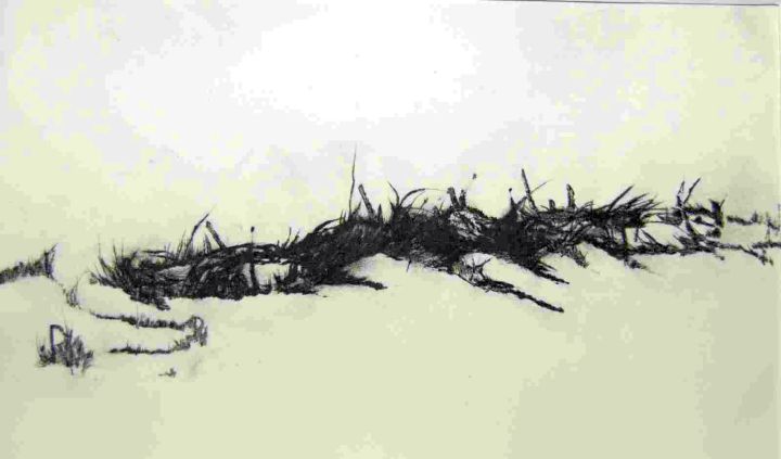 63  Kaltnadelradierung       Ackerrain 2006_22,5x36