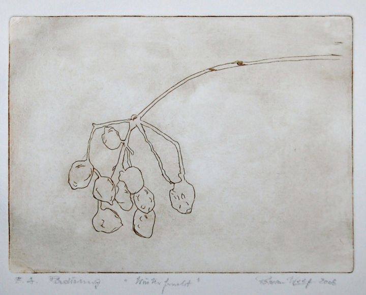 86  Orig.Rad. Winterfrucht  21x30  p300B