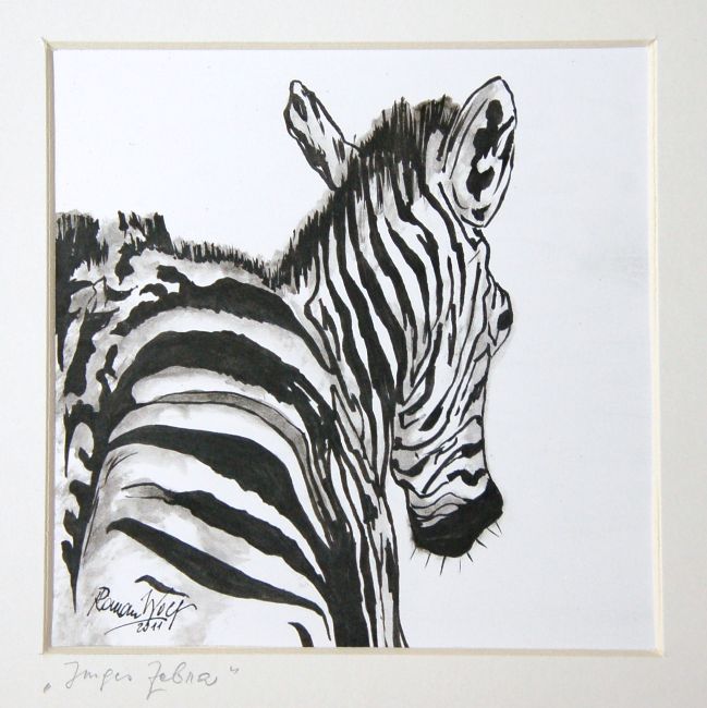 068a  A  Junges Zebra  2011  Tuschez  17,5 x 25  p350 PP